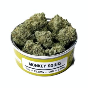 Buy monkey sours marijuana strain