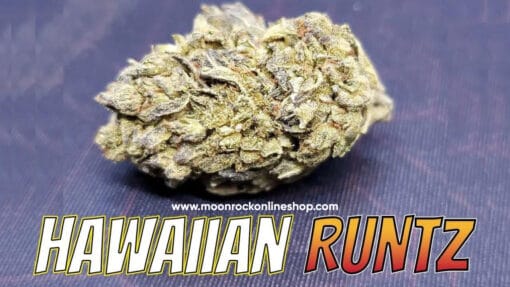 Hawaiian Runtz Strain | Premium Tropical Hybrid | Moonrock Online Shop Hawaiian Runtz strain by Moonrock Online Shop – neon green cannabis buds with purple hues, sticky trichomes, and tropical fruit accents on packaging