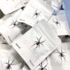 Buy Black Widow online showing Black Widow cannabis flower packaging with spider logo Buy Black Widow online showing Black Widow cannabis flower packaging with spider logo