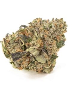 Buy Godfather OG Online