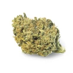 Moonrock Online Shop Buy Gorilla Glue Kush Strain - Premium sativa-dominant hybrid cannabis buds