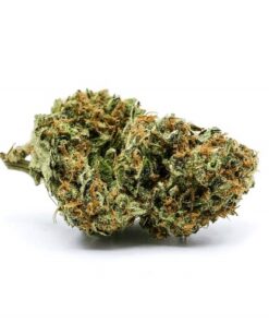 Buy White Widow Online