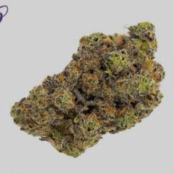 Buy runtz online showing a close-up of premium runtz cannabis flower with dense trichomes