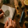 Jack Herer: Creative Fuel Strong Jack Herer Strain - Artist Sketching with Dry Herb Vaporizer | Moonrock Sativa