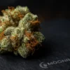 Premium AK-47 Hybrid Strain | Frosted Trichome Close-Up | Moonrock Online Shop Extreme close-up of AK-47 Hybrid Strain cannabis bud showing frosty trichomes and orange pistils - Moonrock Online Shop