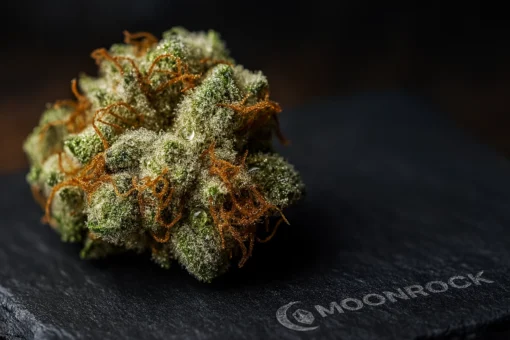 Premium AK-47 Hybrid Strain | Frosted Trichome Close-Up | Moonrock Online Shop Extreme close-up of AK-47 Hybrid Strain cannabis bud showing frosty trichomes and orange pistils - Moonrock Online Shop