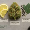 GG Kush Terpene Chemistry Gorilla Glue Kush terpene profile: Limonene, Caryophyllene, Myrcene with Moonrock lab certification