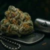 Legendary OG Kush Strain - Frosted Cannabis Nugs on Tactical Display Premium OG Kush Indica Hybrid on military dog tags Moonrock Online Shop