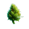 Sour Diesel Hybrid Strain - Frosted Cannabis Bud | Moonrock Online Shop