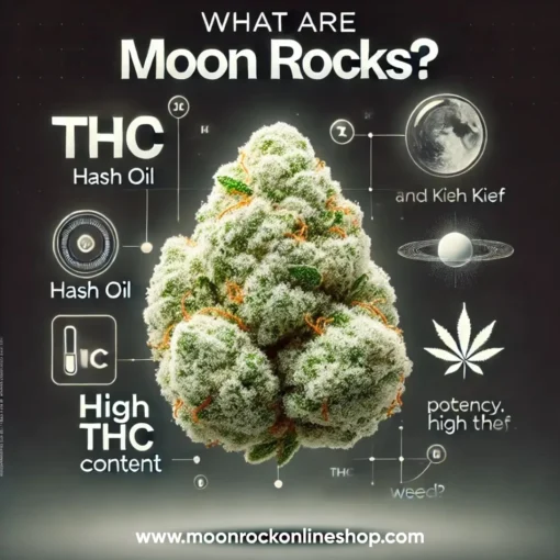 Close-up of Purple Moonrocks from Moonrock Online Shop, showcasing AAA-grade purple cannabis buds coated in hash oil and kief