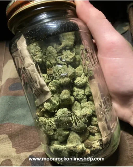 Close-up of Purple Moonrocks from Moonrock Online Shop, showcasing AAA-grade purple cannabis buds coated in hash oil and kief