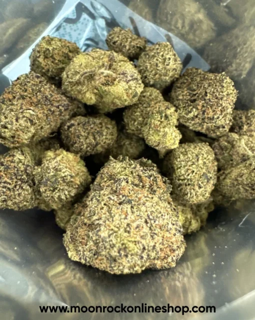 Vlone Runtz 2025 - Creativity-Focused Hybrid Strain | Moonrock Online Shop βVlone Runtz 2025 hybrid strain for creative focus β Lab-tested 28% THC with tropical flavor
