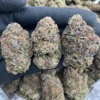 Sharklato Runtz 2025 Hybrid strain close-up in glass jar | Lab-tested organic cannabis