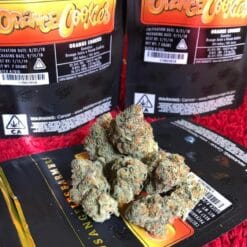 Buy Orange Cookies Jungleboys