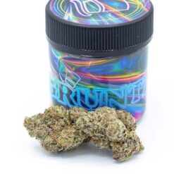 Gruntz Strain Hybrid | Moonrock Online Shop Buy Gruntz Strain – 23-25% THC hybrid cannabis with citrus flavor