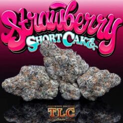 strawberry-shortcake-jungleboys strawberry-shortcake-jungleboys