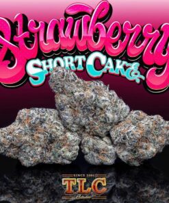 strawberry-shortcake-jungleboys