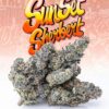 Buy Jungle boys sunset Sherbert