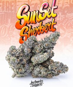 Buy Jungle boys sunset Sherbert