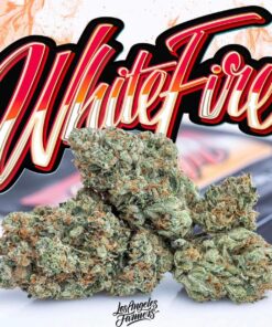 white fire jungleboys