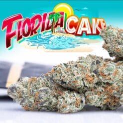 BUY FLORIDA CAKE JUNGLEBOYS BUY FLORIDA CAKE JUNGLEBOYS