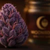 Berner Cookies Grenadine Strain - Premium Flower Berner Cookies Grenadine Strain premium cannabis nugs with violet trichomes - Moonrock Online Shop