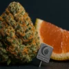Premium Pomelo Cookies Cannabis Bud Buy Pomelo Cookies Online - Frosted 26% THC Berner Cookies Hybrid | Moonrock