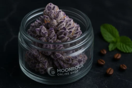 Gelatti Cookies Premium Hybrid Premium Gelatti Hybrid Strain in Glass Jar | Moonrock Online Shop