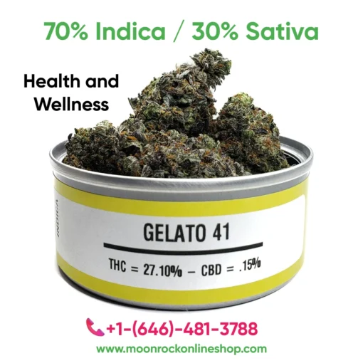 Buy Gelato 41 Online | Premium Hybrid Cannabis Gelato 41 Cannabis – Buy Gelato 41 Online for Sweet Citrus Flavors