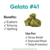 Gelato #41 Strain – Benefits, Flavor Profile & Uses | Moonrock Online Shop Gelato #41 strain infographic showing flavor profile, benefits, and uses with Moonrock Online Shop logo.