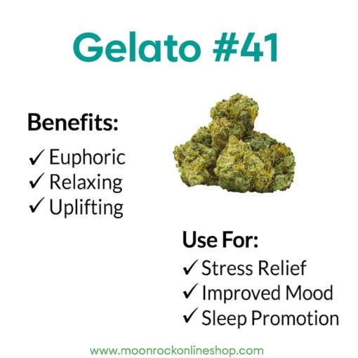 Gelato #41 Strain – Benefits, Flavor Profile & Uses | Moonrock Online Shop Gelato #41 strain infographic showing flavor profile, benefits, and uses with Moonrock Online Shop logo.