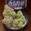 Gelato #41 Strain 3.5g – Frosty Purple Hybrid Cannabis Buds by Moonrock Online Shop Premium Gelato #41 cannabis buds in a jar lid beside branded container, showcasing frosty trichomes and vibrant colors – Moonrock Online Shop