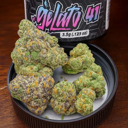 Gelato #41 Strain 3.5g – Frosty Purple Hybrid Cannabis Buds by Moonrock Online Shop Premium Gelato #41 cannabis buds in a jar lid beside branded container, showcasing frosty trichomes and vibrant colors – Moonrock Online Shop