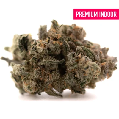 Consumer holding sunrock and moonrock infused cannabis showing density