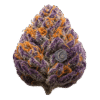 Granddaddy Purple Indica Thumbnail | Buy Premium Cannabis | Moonrock