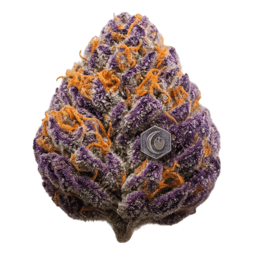 Granddaddy Purple Cannabis Bud Icon | Moonrock Online Shop Granddaddy Purple Indica Thumbnail | Buy Premium Cannabis | Moonrock