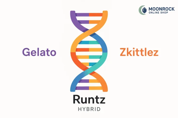 Runtz Genetics Explained - Gelato x Zkittlez Hybrid Strain Diagram | Moonrock