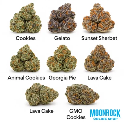 Cookies Strains Collection – GSC, Gelato, Sunset Sherbet, Georgia Pie, Lava Cake, GMO