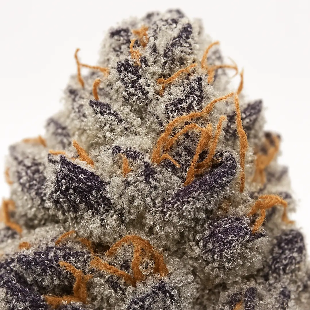 Premium cannabis flower