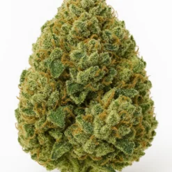 Stack or Starve Gumbo cannabis bag with Moonrock Online Shop branding on a white background