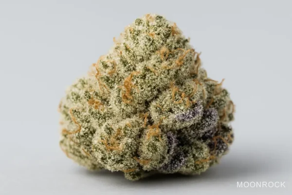 Macro of Ice Cream Cake cannabis flower showing dense frosty trichomes, purple hints, and orange pistils — Moonrock Online Shop