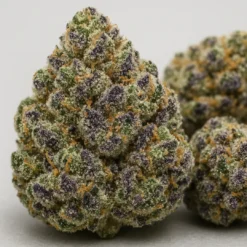 rs11-strain-macro-flower-trichomes-1 Macro close-up of RS11 cannabis flower showing frosty trichomes, purple highlights, and dense nug structure.