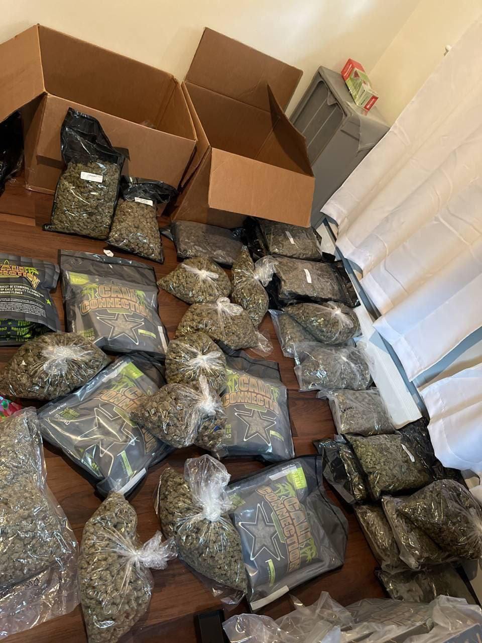 Verified wholesale stock ready for bulk orders — multiple pounds of packaged flower organized for shipment to legal regions. Trusted supply, fast dispatch.