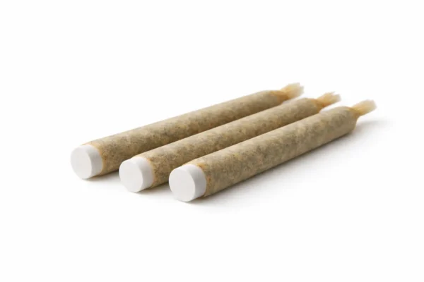 pre-rolls guide — premium cannabis pre-rolls California 2026