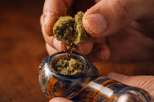 How to smoke moonrocks in California by breaking a moonrock by hand over a glass pipe bowl instead of using a grinder