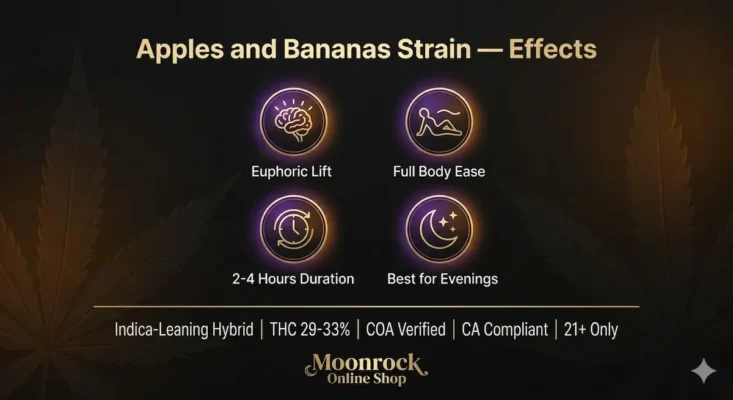 Apples and Bananas strain effects card showing euphoric lift full body ease 2 to 4 hours duration and best for evenings indica leaning hybrid THC 29 to 33 percent COA verified CA compliant 21 plus only Moonrock Online Shop