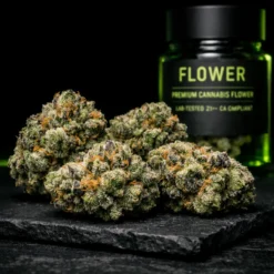 Premium cannabis flower buds on black background with neon green lighting