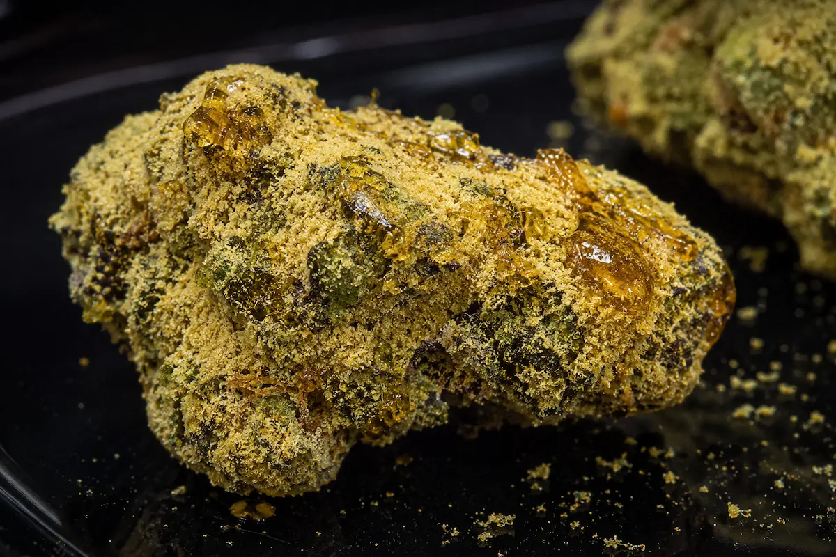 Close-up of Sun Rocks showing golden oil coating and crystalline kief texture before smoking