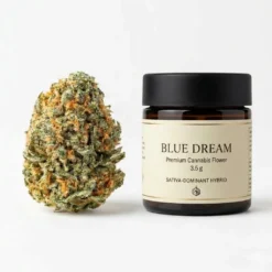 shop Blue Dream Strain