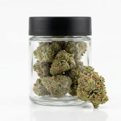 Buy Chemdawg online, cannabis jar and Chemdawg bud on white background